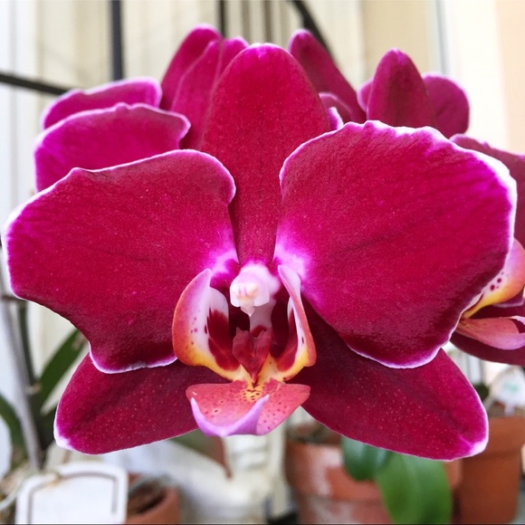 Meet the Posher - Picture 12 of 13